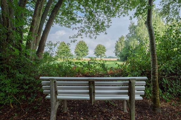Medium property photo - Bosschenhoofdsestraat 6A, 4744 RP Bosschenhoofd